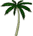 palmier.gif (9847 bytes)